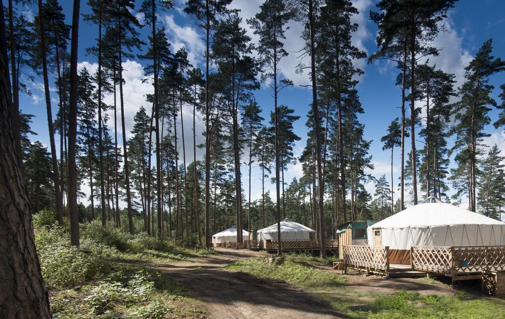 Yurtos Pensionat Gaugariai Exteriör bild