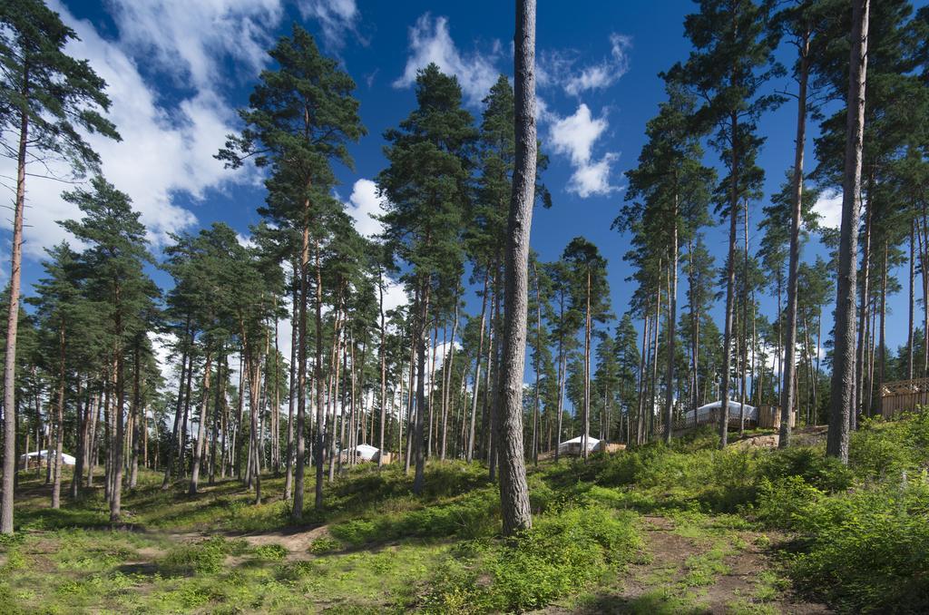 Yurtos Pensionat Gaugariai Exteriör bild